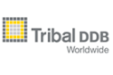 Tribal DDB